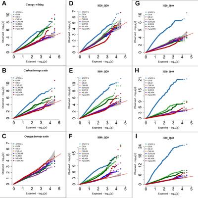 Comparing Different Statistical Models and Multiple Testing Corrections for Association Mapping in Soybean and Maize